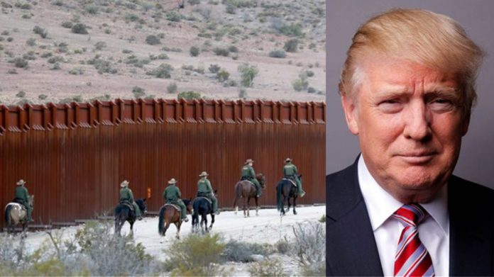 trump-toixos