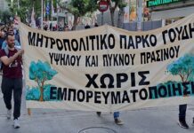 Να υλοποιηθεί το Ενιαίο Μητροπολιτικό Πάρκο Γουδή, υψηλού και πυκνού πρασίνου, χωρίς εμπορευματοποίηση